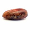 Agata var. Sardonyx