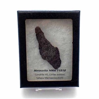  Meteorito NWA 11518