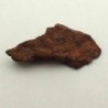 NWA 14279 (Winonaita)