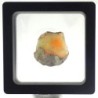 Opalo Etiope