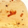 Insect in amber