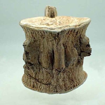 Zarafasaura oceanis, Vertebra FAR29 Zarafasaura oceanis, Vertebra FAR29