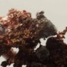 Cobre nativo and Silver