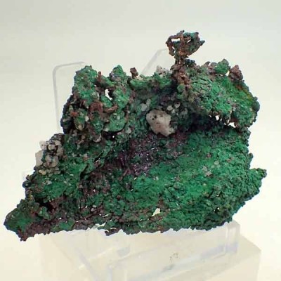 Native copper with cuprite Mi504 Native copper with cuprite Mi504