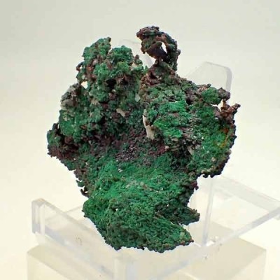 Native copper with cuprite Mi504 Native copper with cuprite Mi504