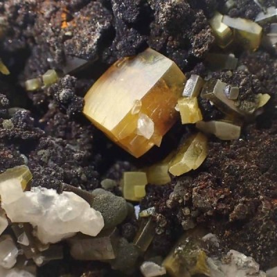 Wulfenite,Mimetite Mi304 Wulfenite,Mimetite Mi304