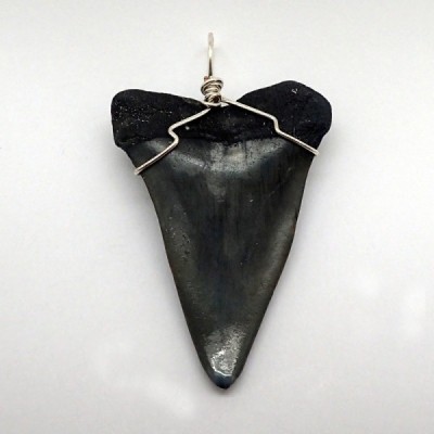 Fossilized shark tooth pendant B43 Fossilized shark tooth pendant B43