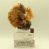 Fluorapatite, Stilbite