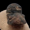 Paralejurus hamlagdadicus