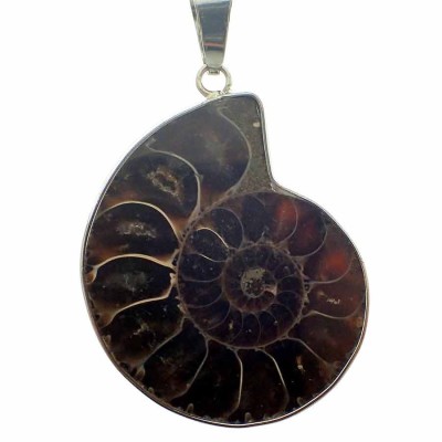 Comprar Colgante Ammonite, joyeria con fósiles - B15
