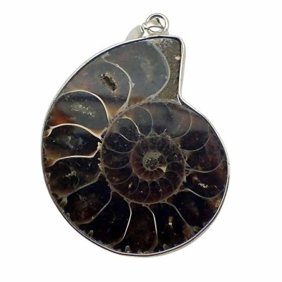 Buy Ammonites Pendant,  jewelry-B15