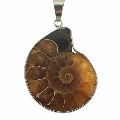 Buy Ammonites Pendant, silver-mounted jewelry-B08 Buy Ammonites Pendant, silver-mounted jewelry-B08