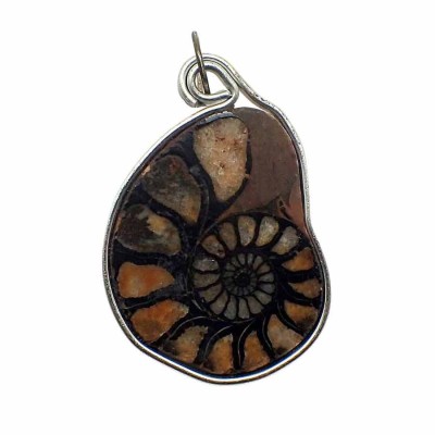 Buy Ammonite Pendant B11