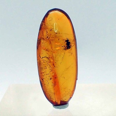 Comprar ambar con insectos, de colección, A20 Comprar ambar con insectos, de colección, A20