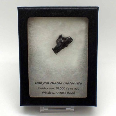 Buy collectible meteorites; Canyon Diablo Meteorite CA143
