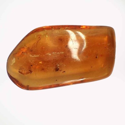 Buy collection amber with insects-Insects in amber-A23