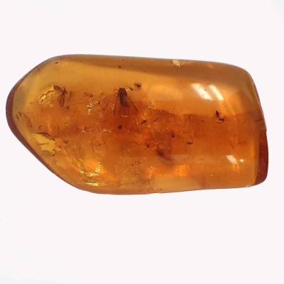 Comprar pieza de coleción ambar-Insectos en ámbar-A23