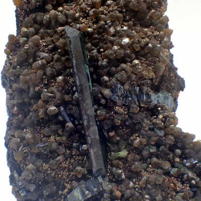 Comprar minerales de colección, Vivianita-Mi741