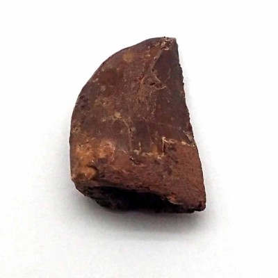 Comprar Dinosaurios de colección, Deltadromeus agilis - FD203