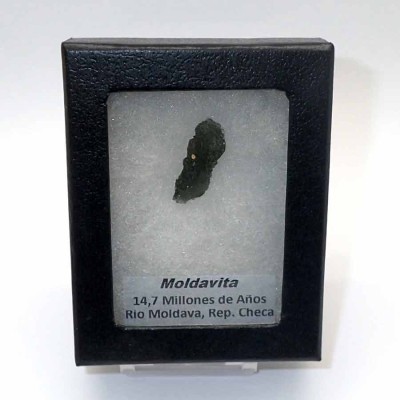 Comprar Tectita de colección, Moldavita - CA011
