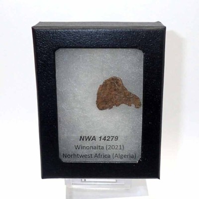 Comprar meteoritos de colección, NWA 14279 (Winonaita) - CA033