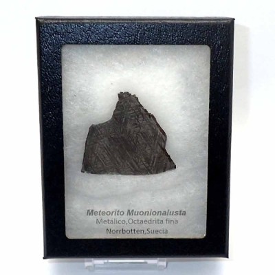 Comprar meteoritos de colección Muonionalusta - CA153
