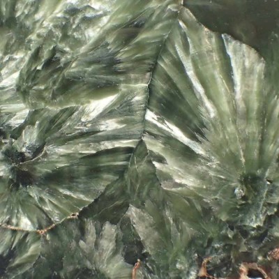 Buy Polished Seraphinite Collection Minerals - Mp44 Buy Polished Seraphinite Collection Minerals - Mp44