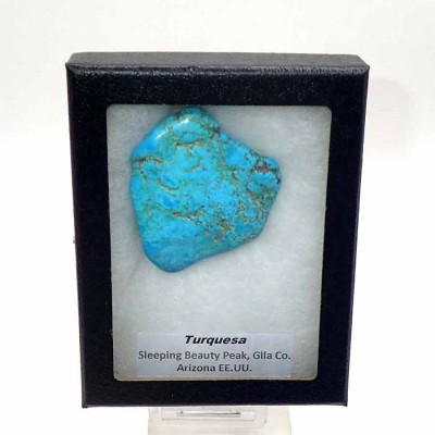 Buy Collectible Turquoise - Mi025