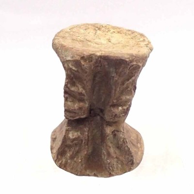 Buy Rutiodon sp. FAR15