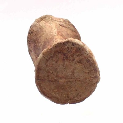 Piezas especiales de colección Rutiodon sp - FAR15