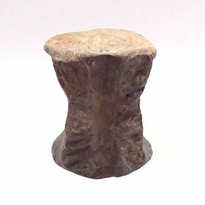 Piezas especiales de colección Rutiodon sp. - FAR03