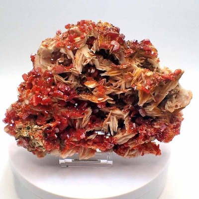 Buy collectible African mineral, Vanadinite on Barite - Mi027