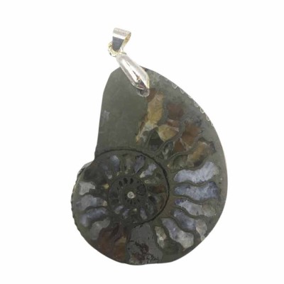 Fossil jewelry, Ammonites pendant -B39