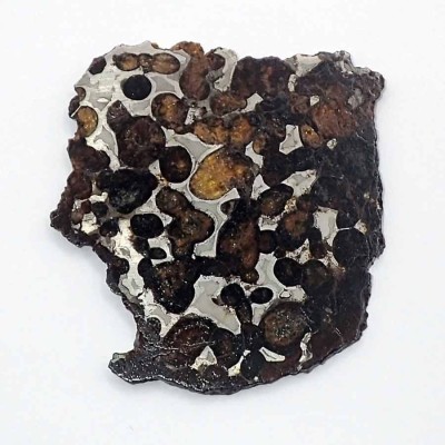 Buy Sericho-Pallasite  Meteorite -CA035