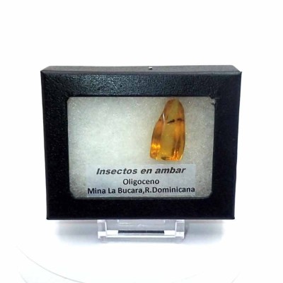 Ambar de colección ,Insecto en ámbar - A33