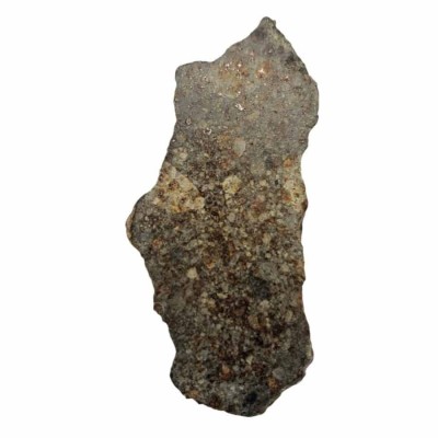Meteoritos de colección North West Africa 869 -CA004