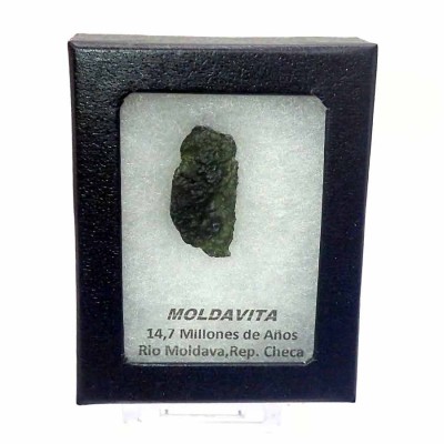 Comprar Tectita de colección, Moldavita - CA025