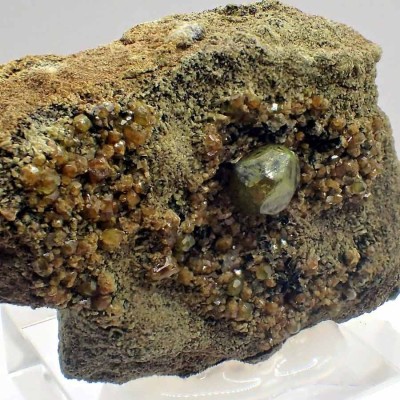 Garnet Mi338