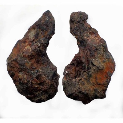 Comprar Meteorito,Pallasita- Sericho-CA054