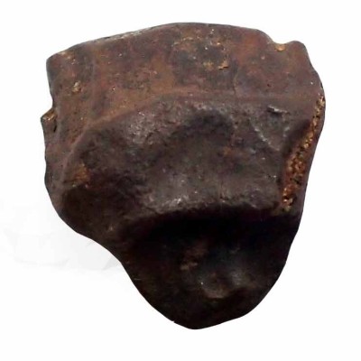 Buy Ankylosaurus sp. dinosaur tooth fossil - FD193