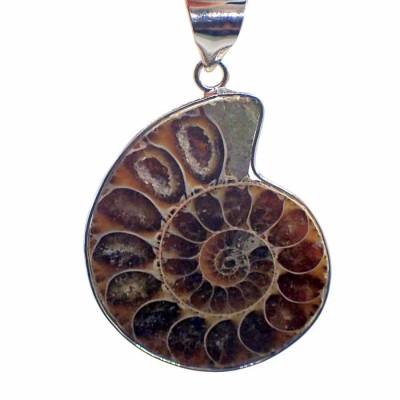 Fossil jewelry, Ammonites pendant - BF01