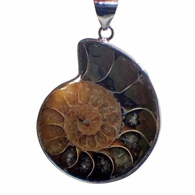 Fossil jewelry, Ammonites pendant - BF01