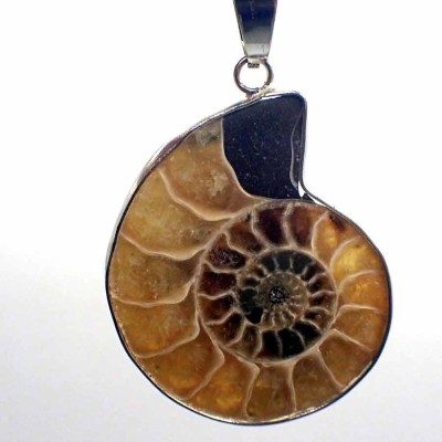 Fossil jewelry, Ammonites pendant - BF04