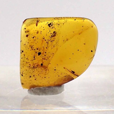 Amber Burmite,dinosaur feathers-A36