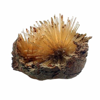 Aragonite from Spain-Mi088