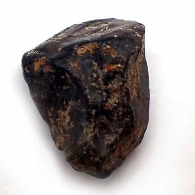 Dinosaur teeth,Triceratops horridus-FD201
