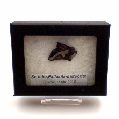 Meteorito,Pallasita- Sericho - CA104