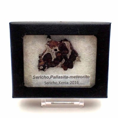Comprar Meteorito  Pallasita-Sericho - CA094