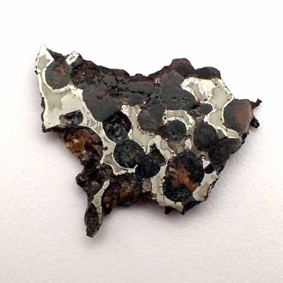 Comprar Meteorito  Pallasita-Sericho - CA094