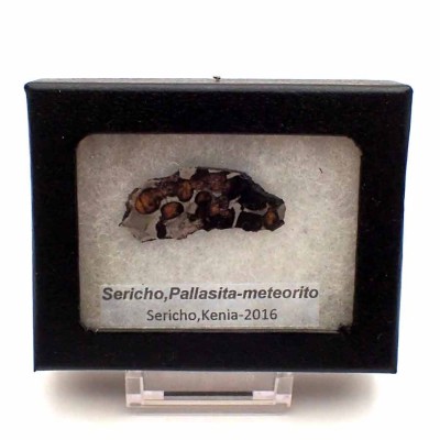 Comprar Meteorito  Pallasita-Sericho - CA118